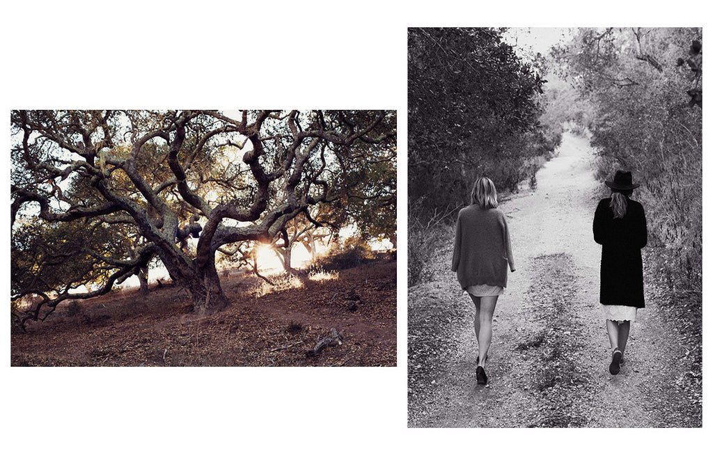 Big Sur: The Trip That Started It All