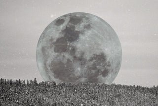 The Cold Moon