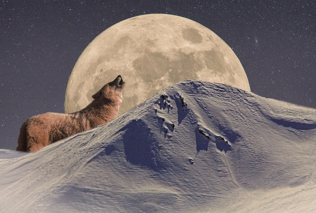 The Wolf Moon