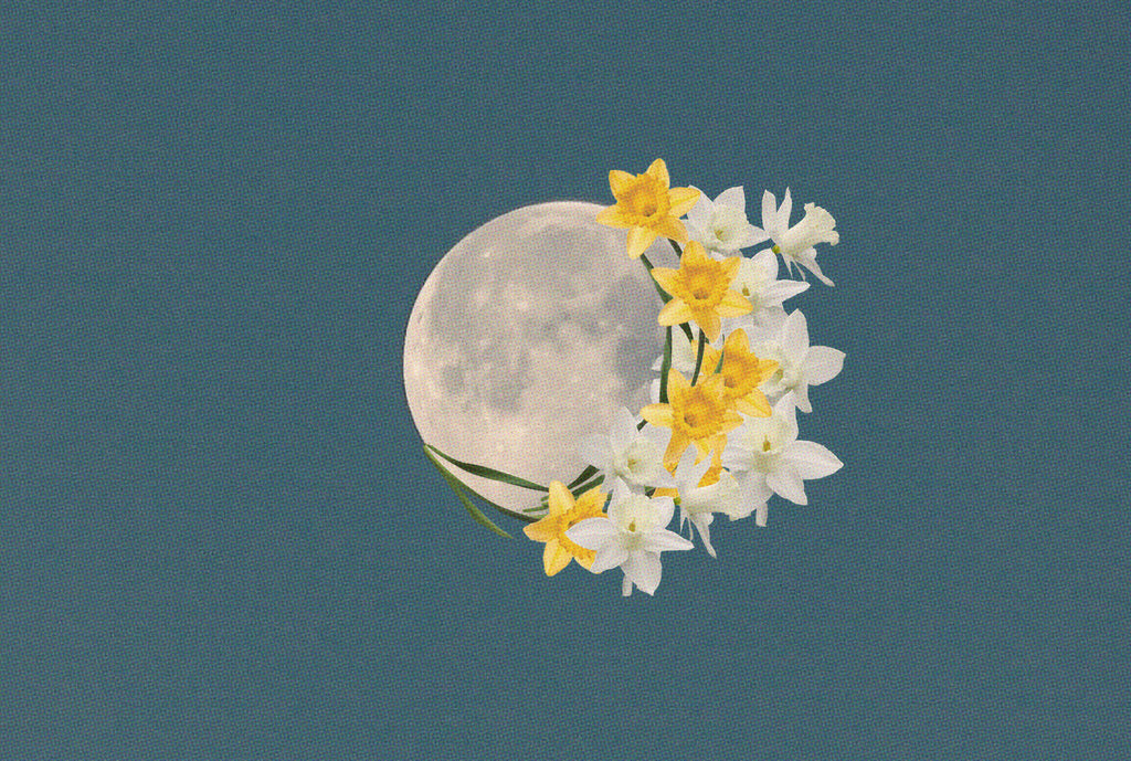 The Worm Moon