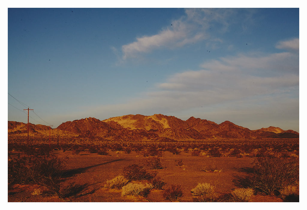 Dawn on the Road: Joshua Tree