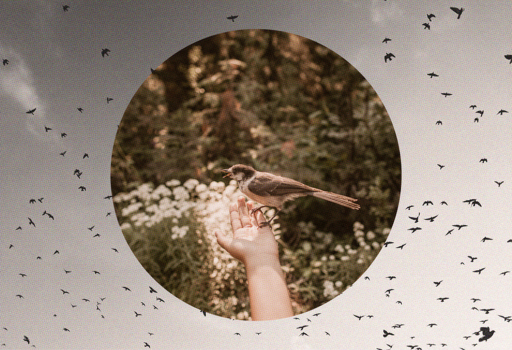 The Pause as Portal: Reflections on Releasing and Renewing:  Opportunities in the Time of the Pandemic