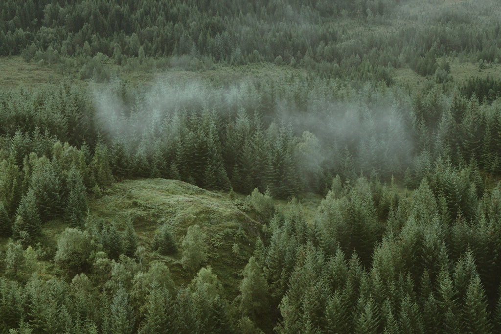 December 2022 Themes, Thoughts & Reflections