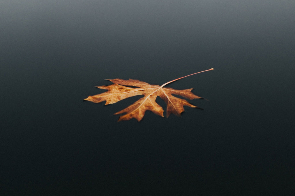 October 2022 Themes, Thoughts & Reflections