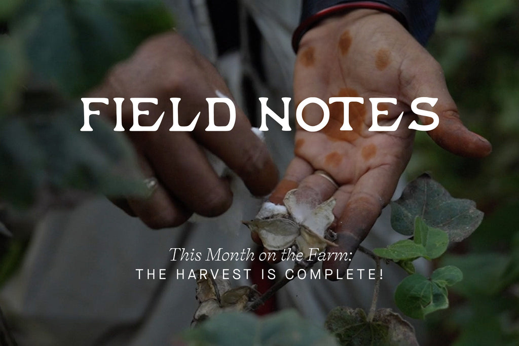 This Month on the Farm: The Harvest is Complete!