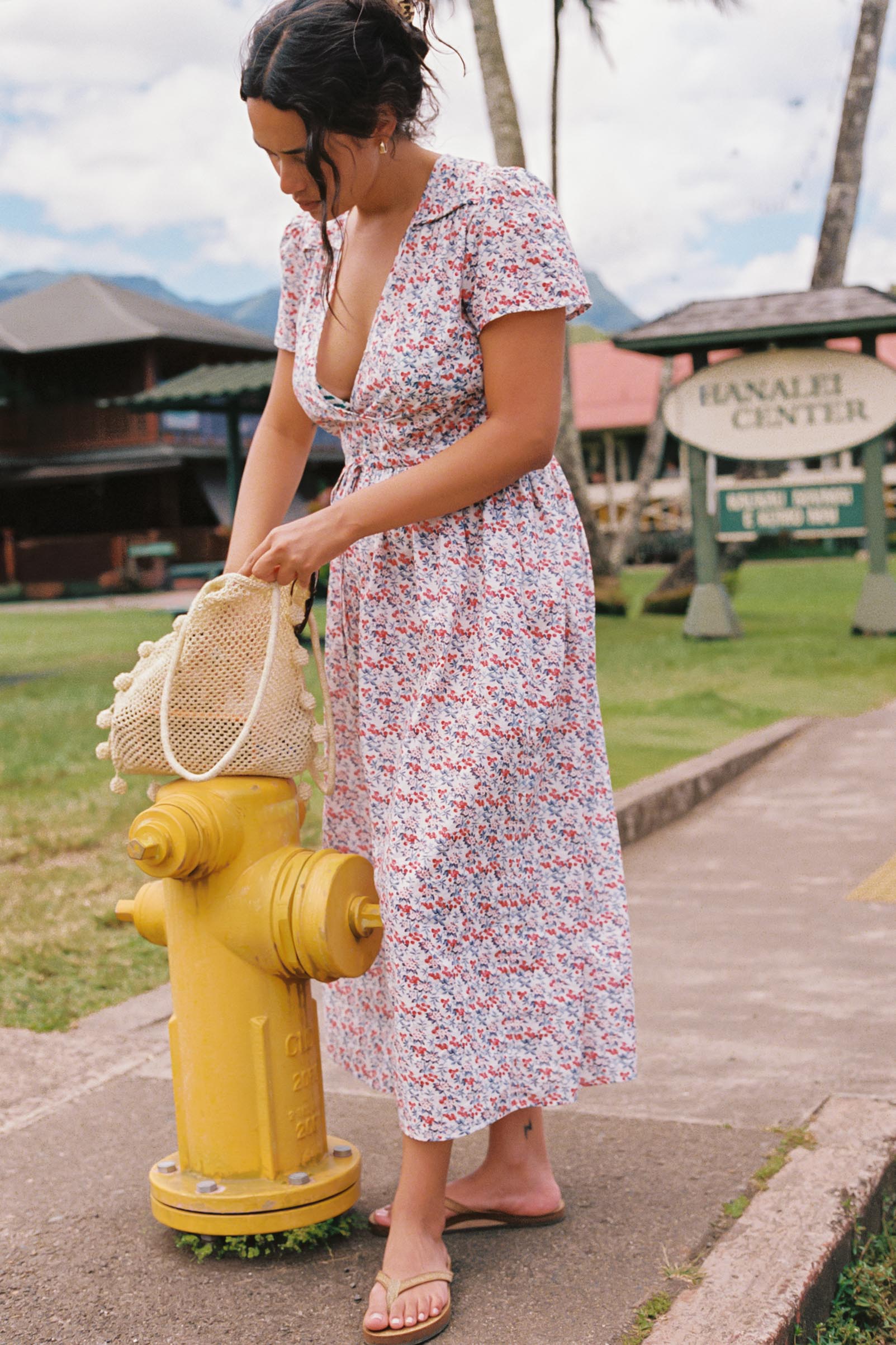 The Dawn Dress Petites | Cherry Jubilee – Christy Dawn