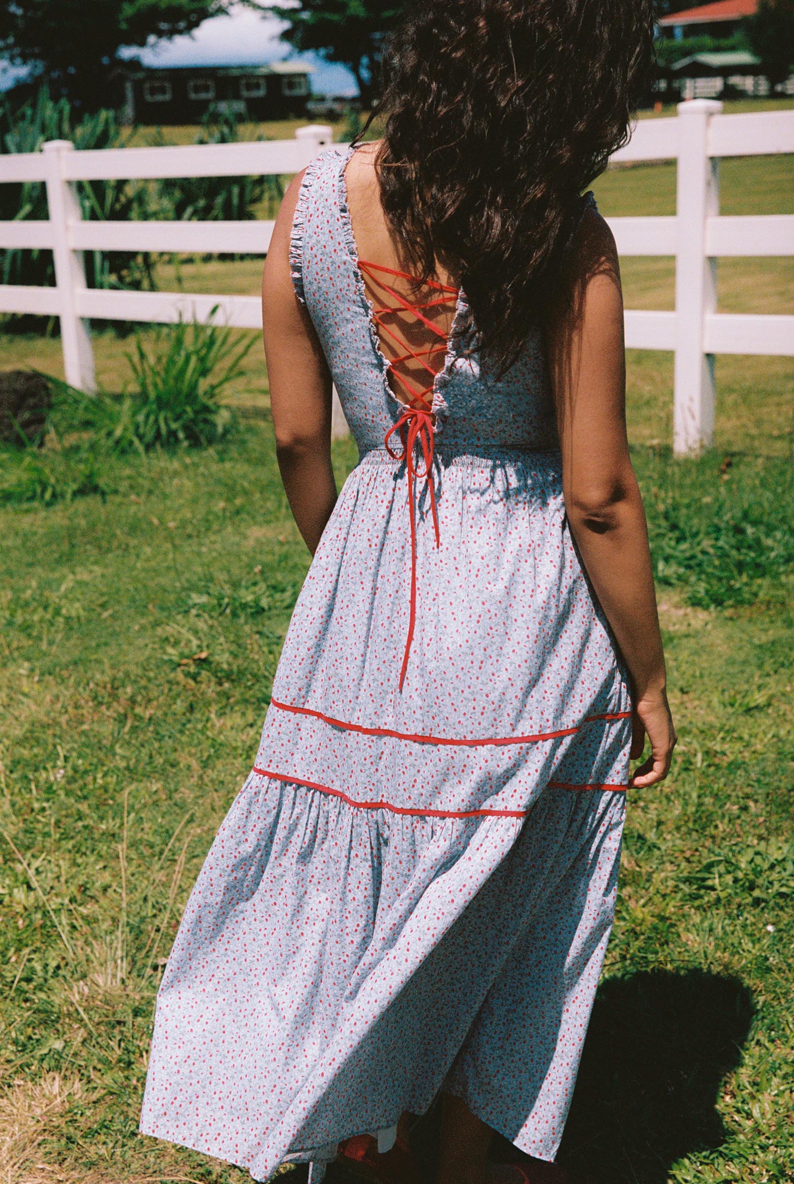 The Griselda Dress | Wild Berries – Christy Dawn