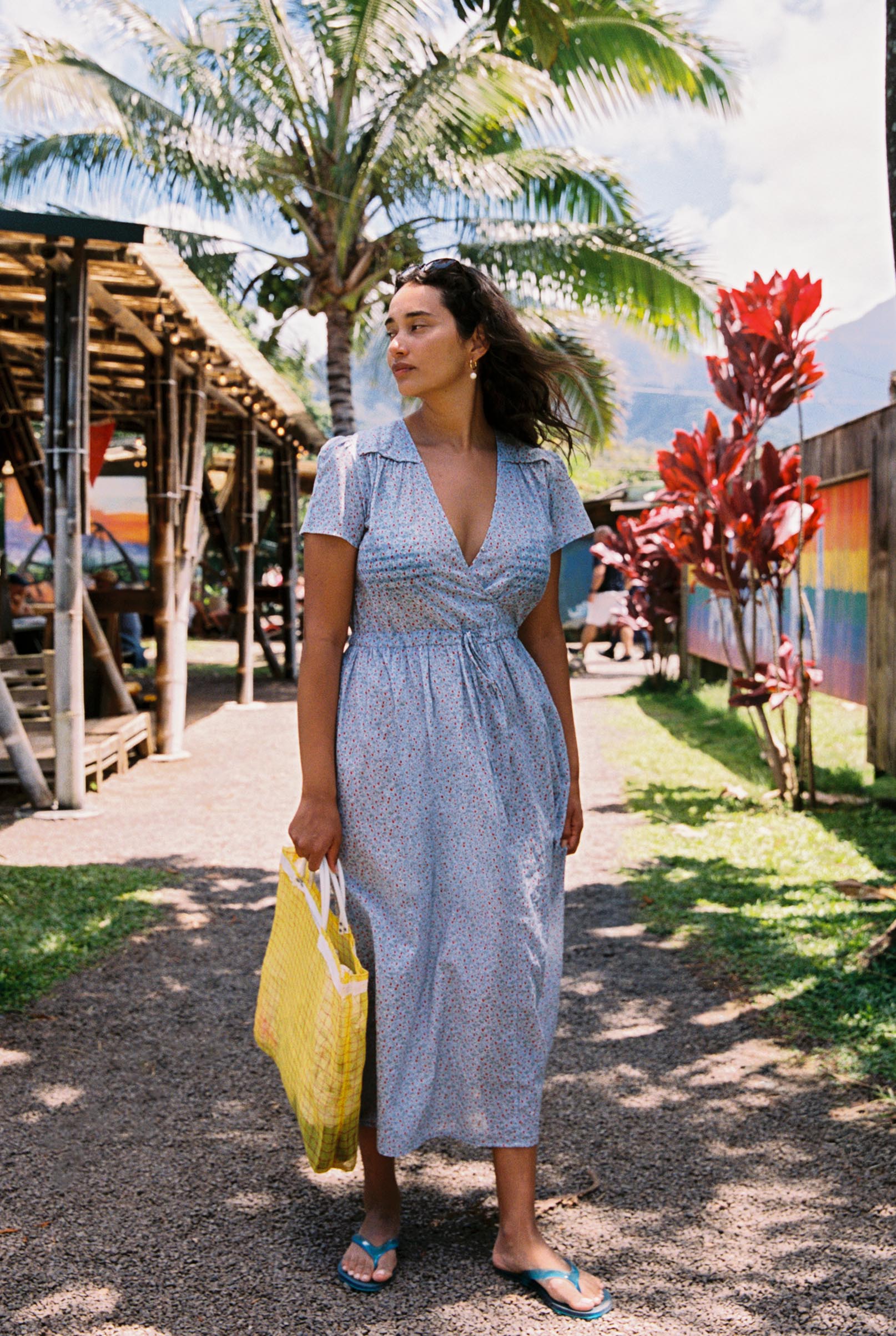 The Dawn Dress Petites | Wild Berries – Christy Dawn