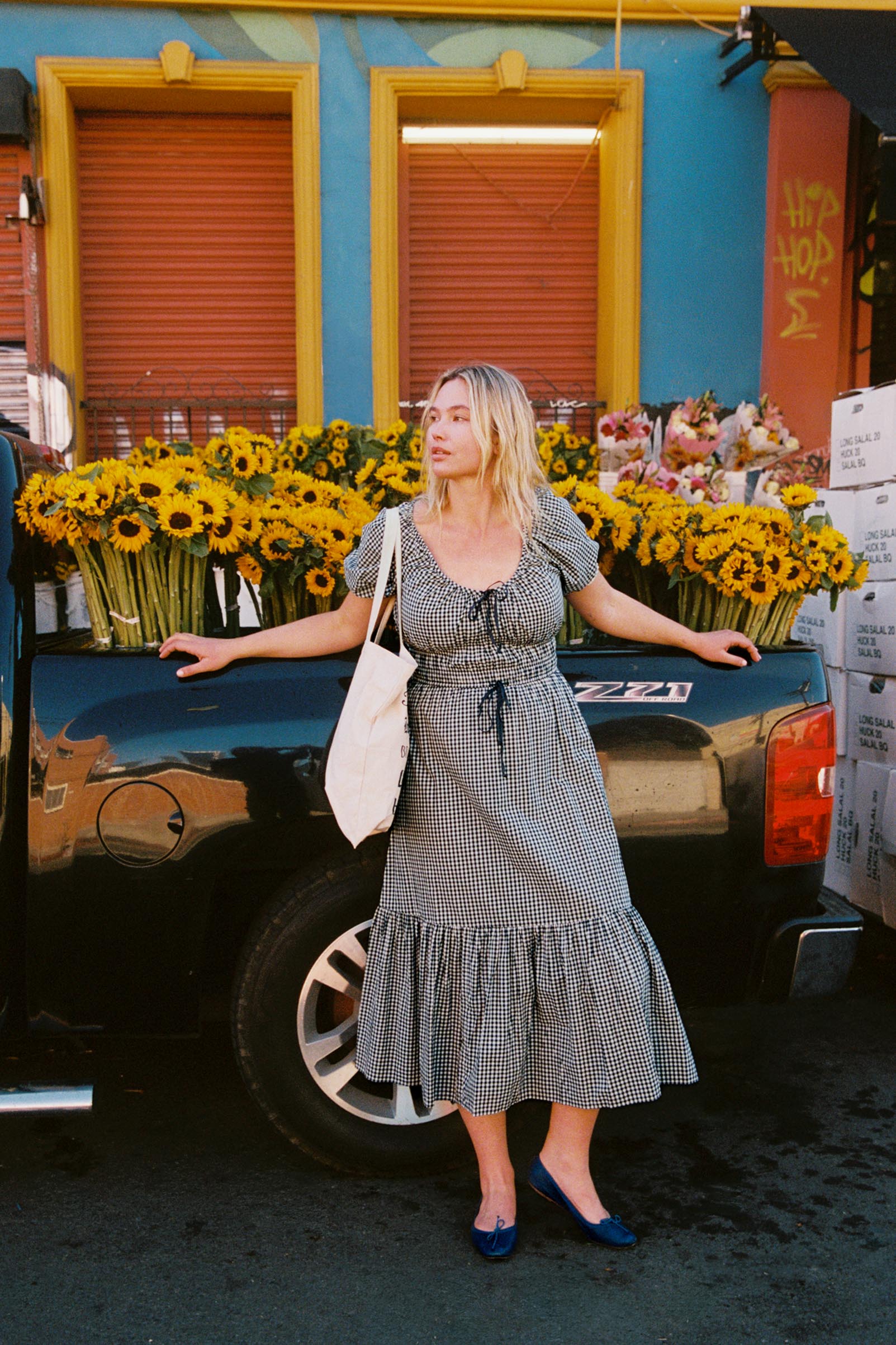 The Brynne Dress | Midnight Picnic – Christy Dawn