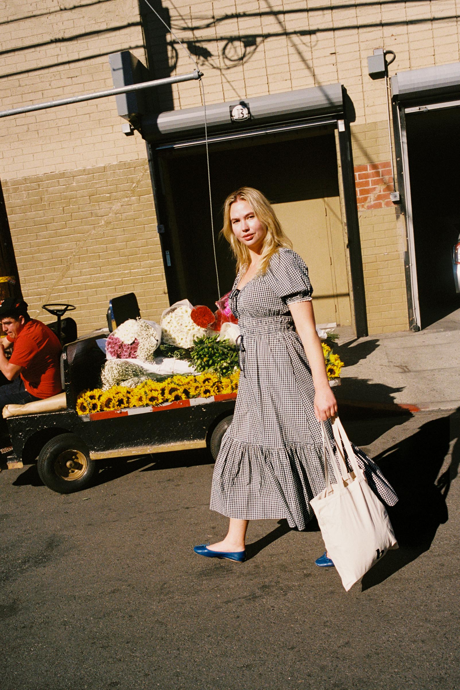 The Brynne Dress | Midnight Picnic – Christy Dawn