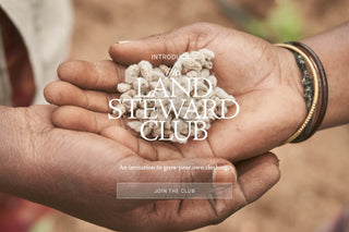 A close-up of two hands holding small white fibers, with overlaid text reading 'INTRODUCING The LAND STEWARD CLUB' and 'JOIN THE CLUB' on a warm blurred background.
