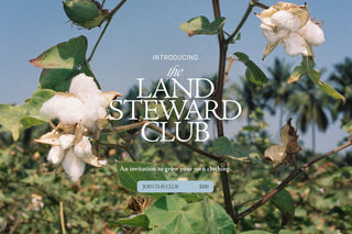 A promotional graphic with cotton plants and large white text reading 'INTRODUCING the LAND STEWARD CLUB' over a cotton field background. Smaller text says 'An invitation to grow your own clothing.