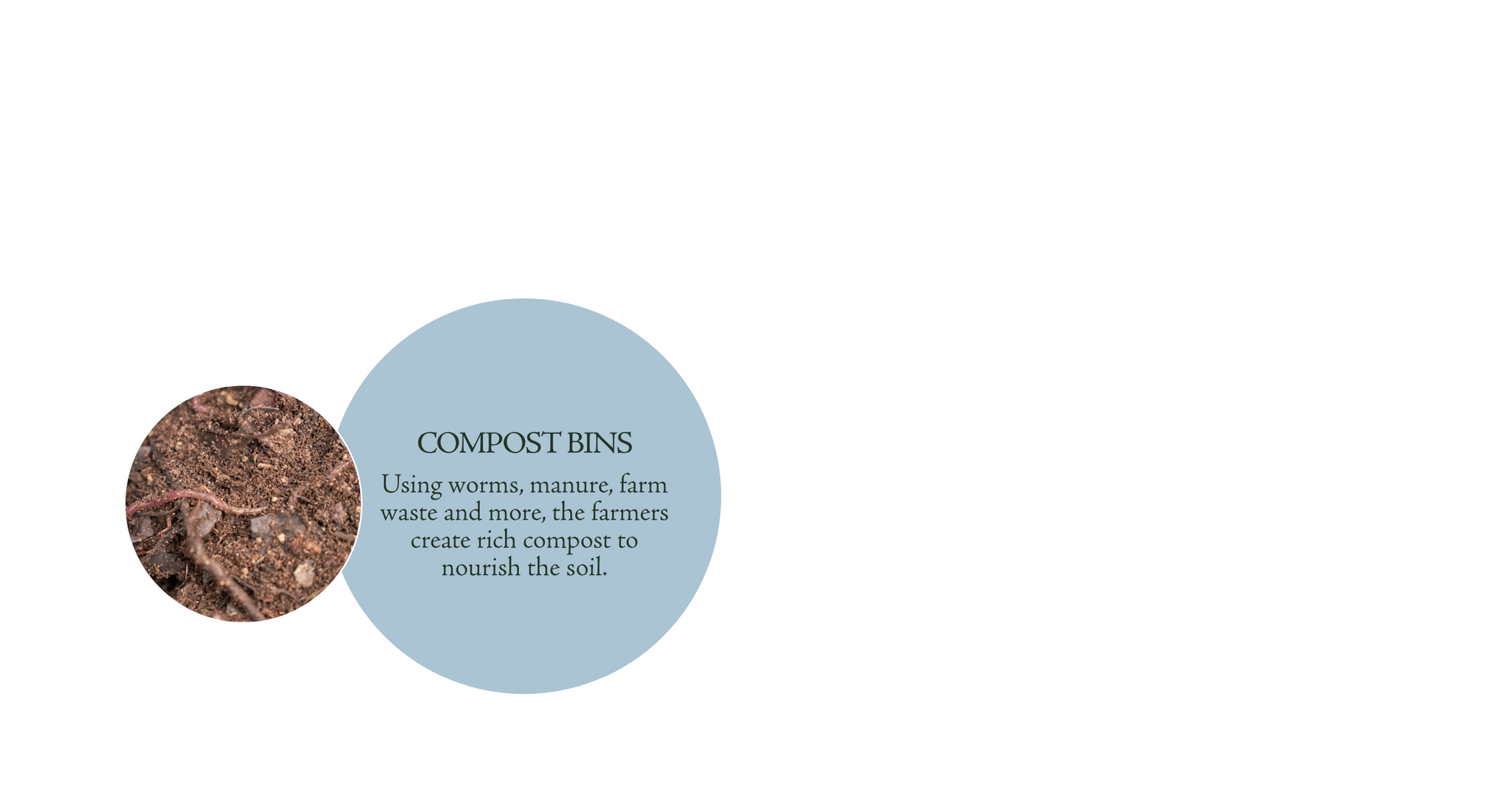 Compost Bins