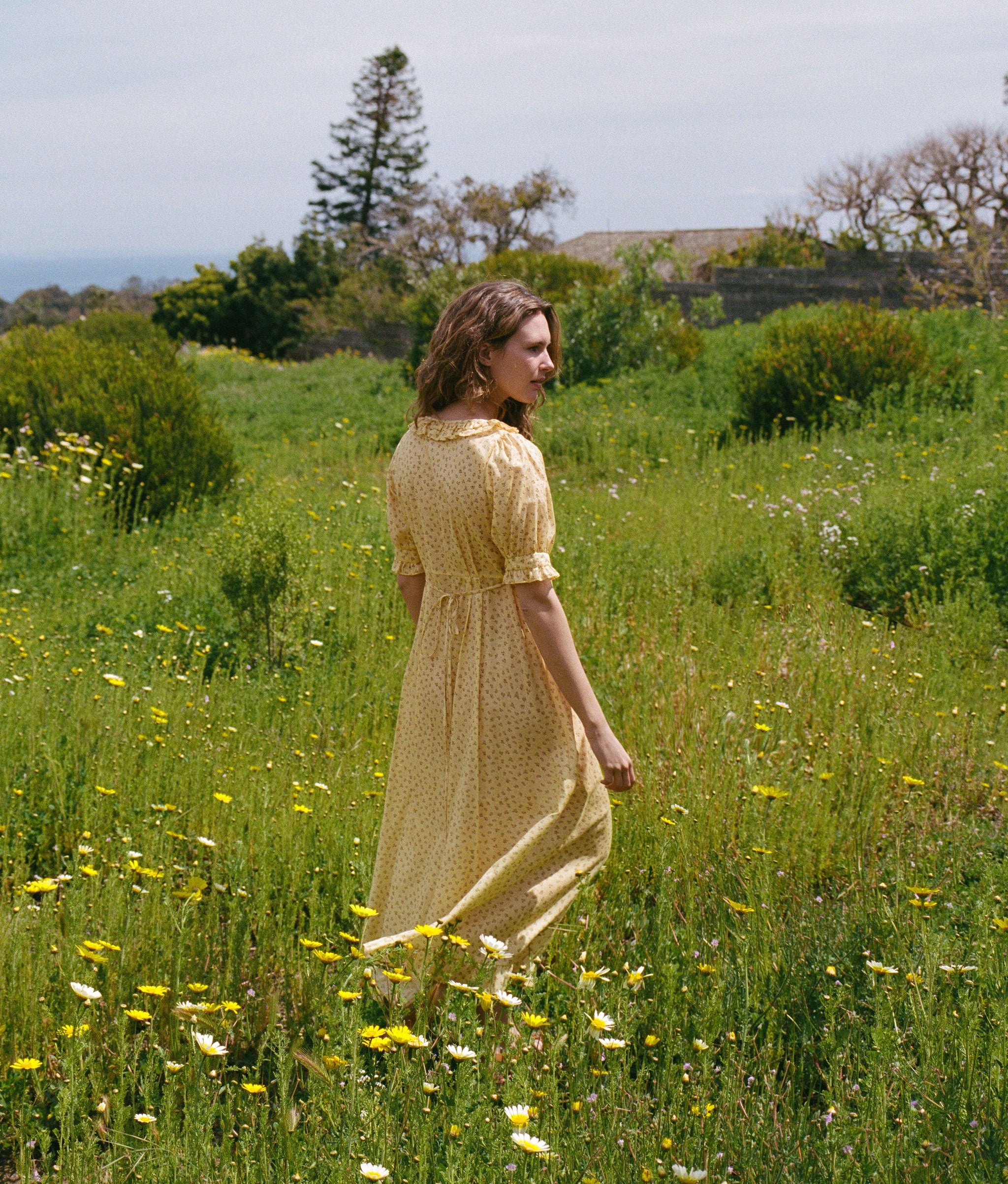 The Meadow Dress | Golden Pollinator Garden Silk-Cotton – Christy Dawn