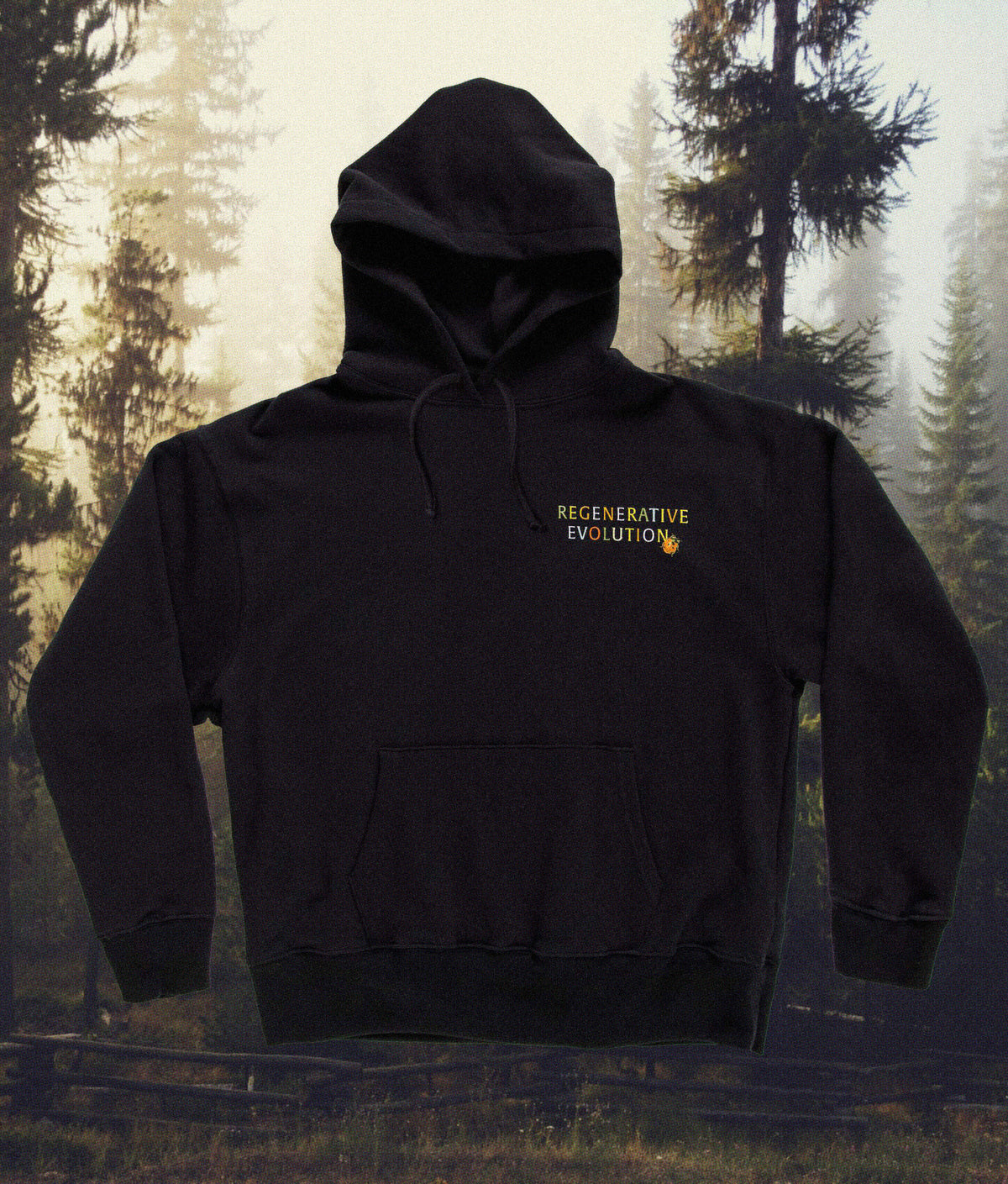 Regeneration Hoodie | Black Rainbow – Christy Dawn
