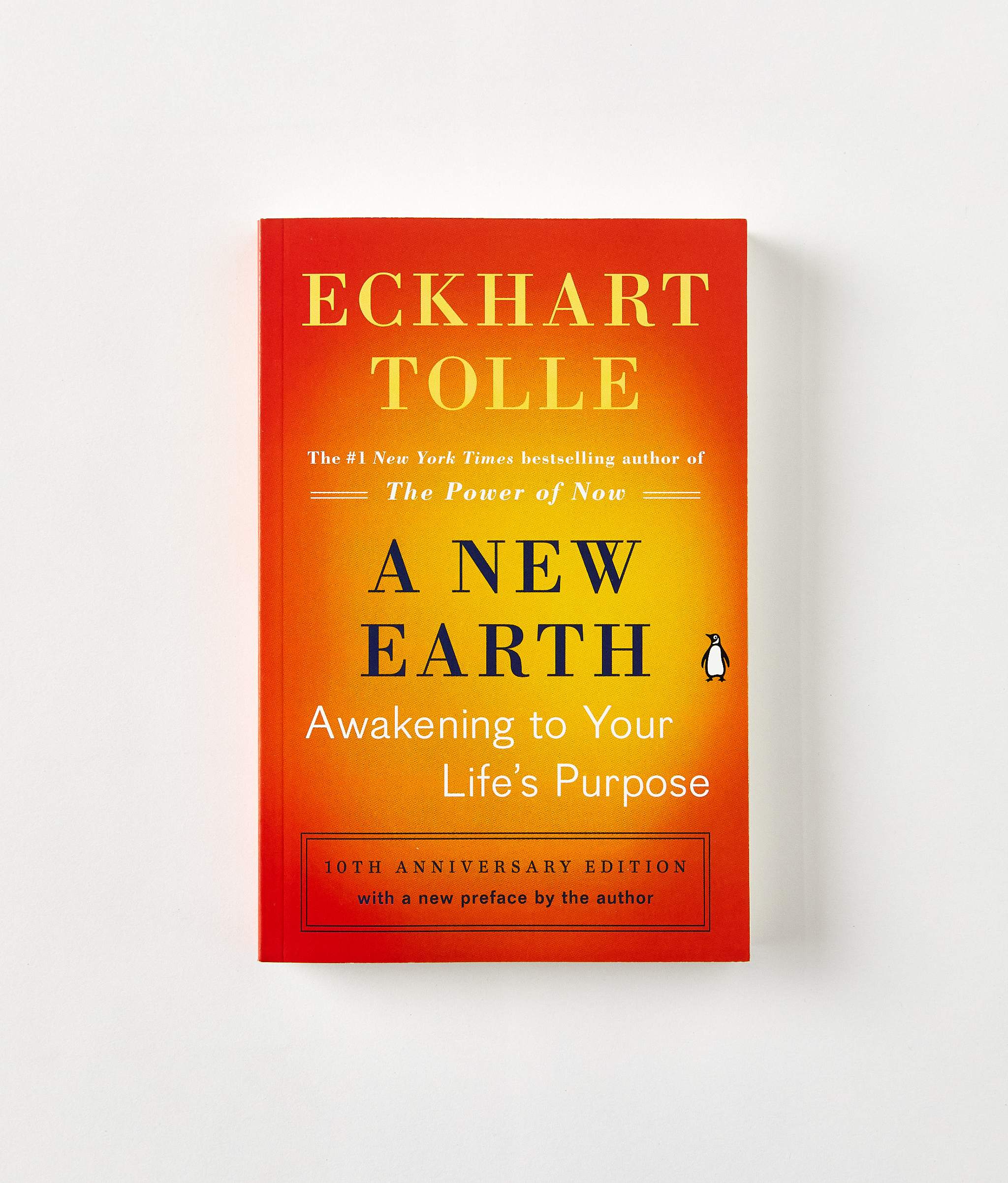 A New Earth By Eckhart Tolle Christy Dawn   Book16 