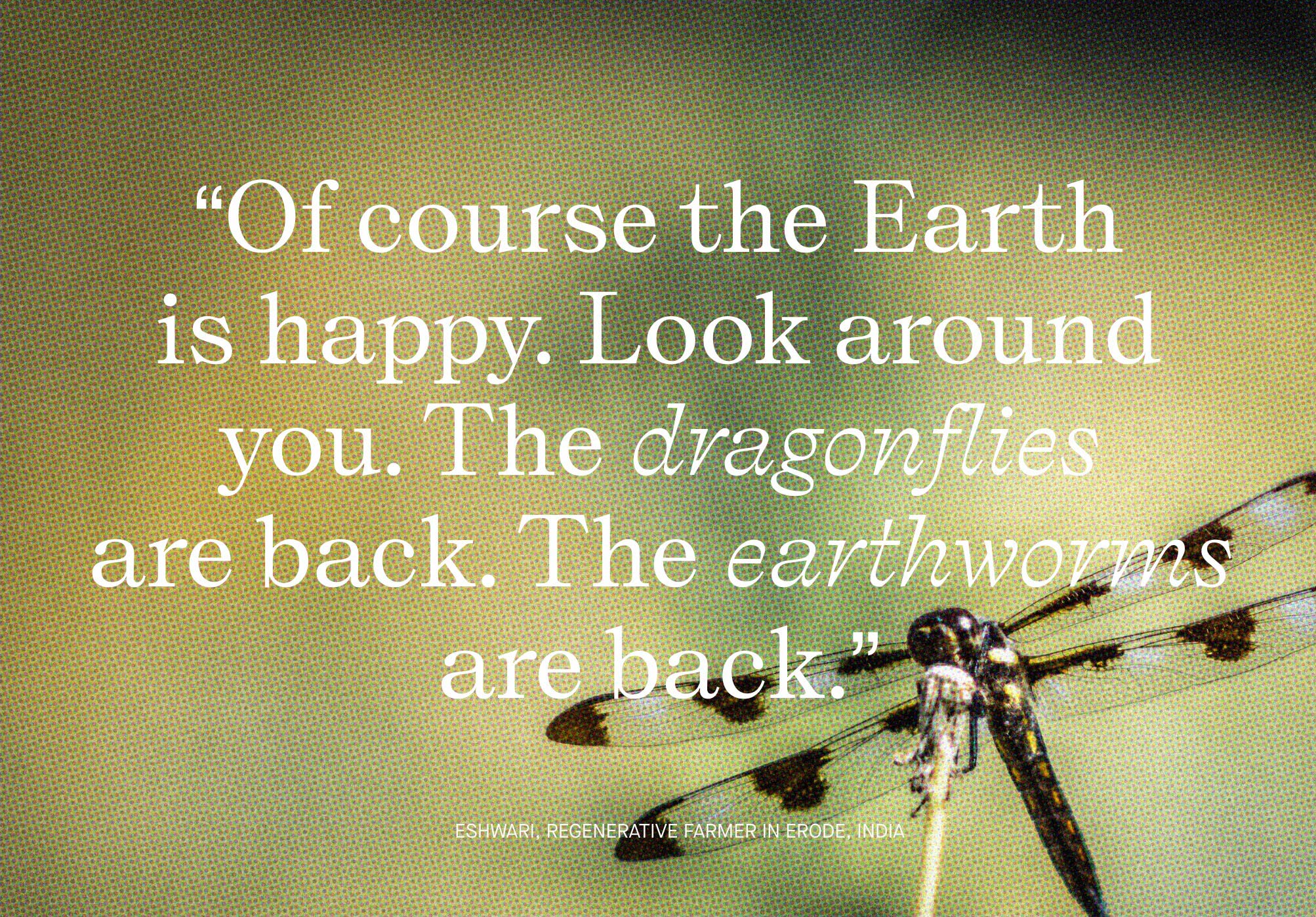 Of course the Earth is happy. Look around you. The dragonflies are back. The earthworms are back.