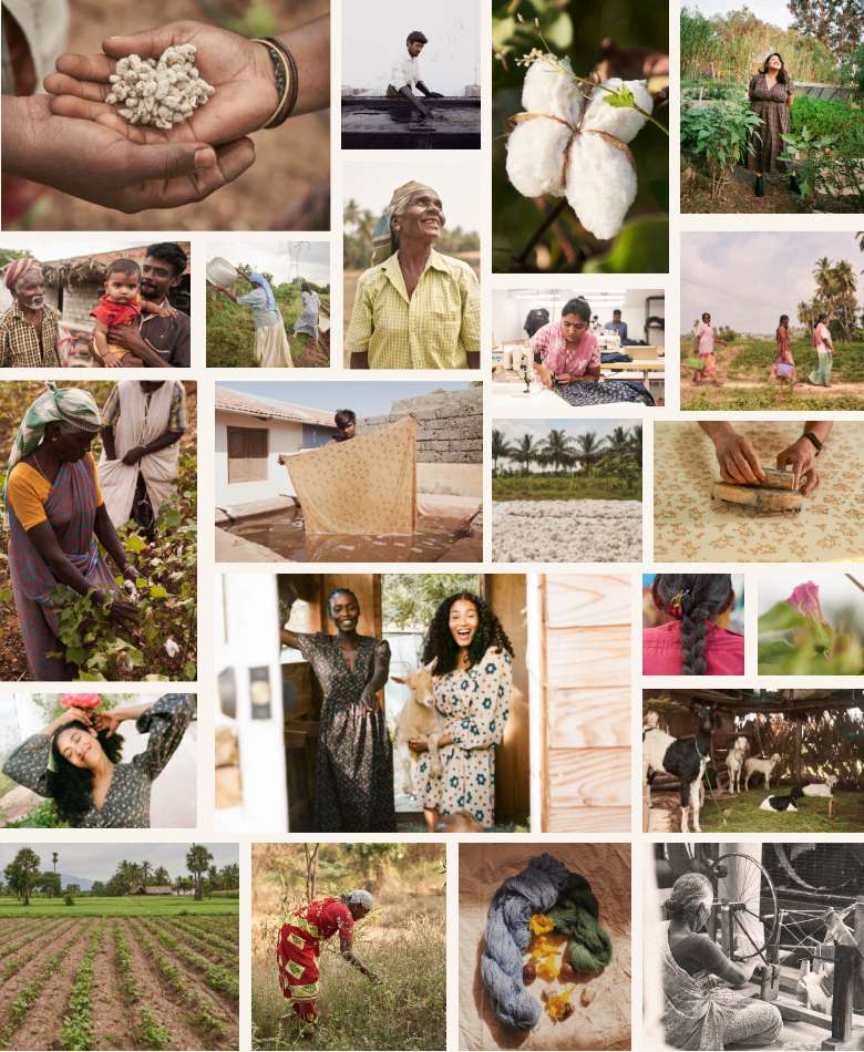 grid of many photos showing a farm